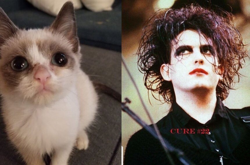 Why she was named "Bob" - because of her resemblance to Robert Smith of The Cure.