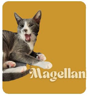 Magellan