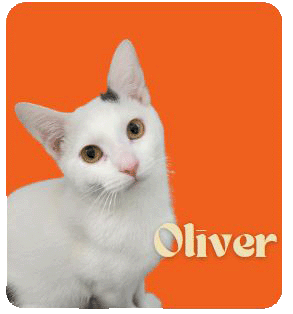 Oliver